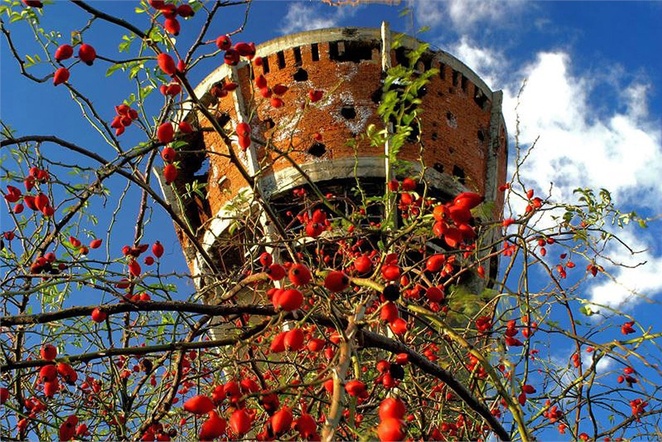 Jesi li Vukovar?