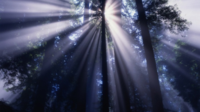 Fra Jozo Vasilj - sv. Franjo naših dana