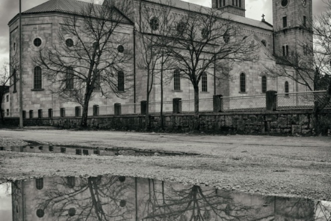 Hrast na Brijegu