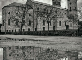 Hrast na Brijegu