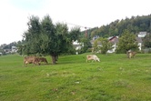 20180913_160613.jpg