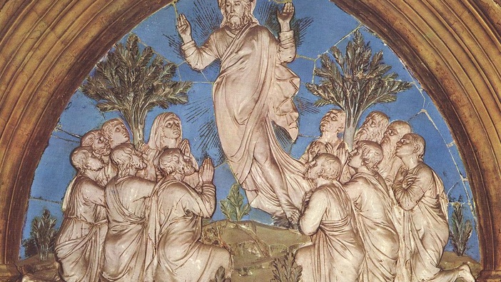 Misionarsko lice Crkve - Pojam i značenje misije