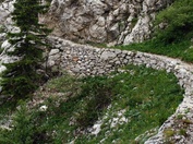 Staza života