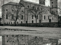 Hrast na Brijegu