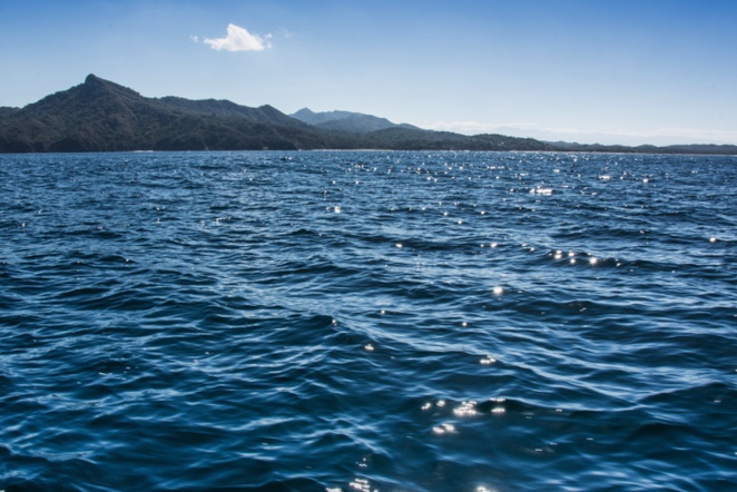 Akvarij ili ocean?