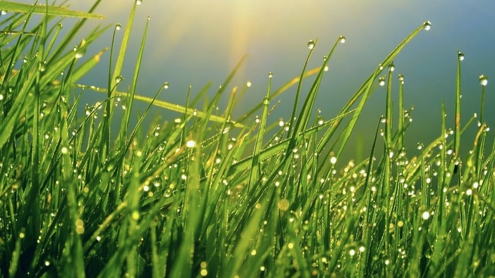 Kraljevstvo nebesko u svakodnevici