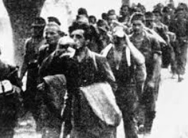Hercegovački franjevci u žrvnju Bleiburga i Križnoga puta