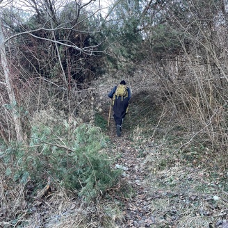 Hodočašće u Mariju Bistricu