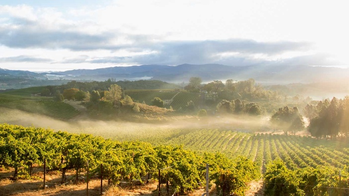 Plodovi za život vječni