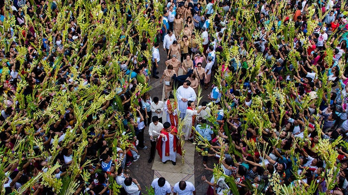 Cvjetnica - liturgijski vodič