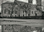 Hrast na Brijegu