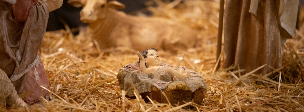 Božić bez vola i magarca