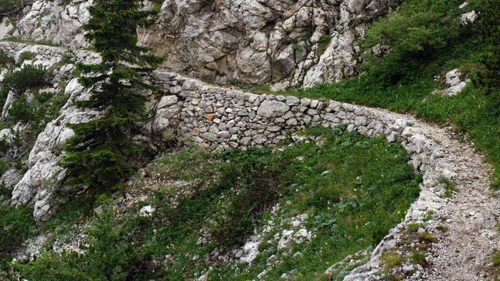 Staza života