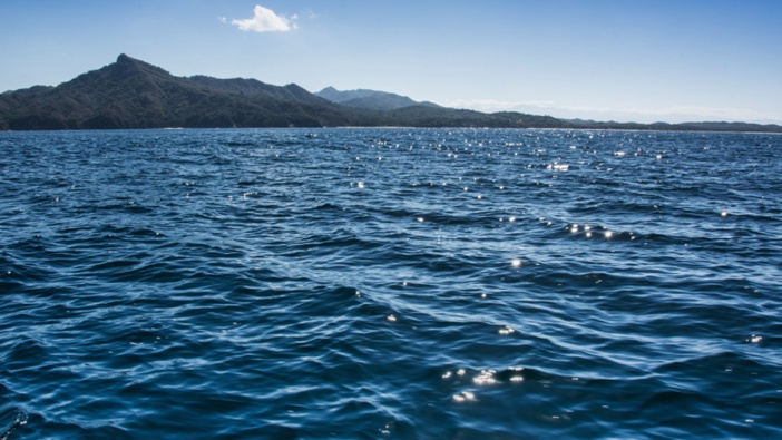 Akvarij ili ocean?