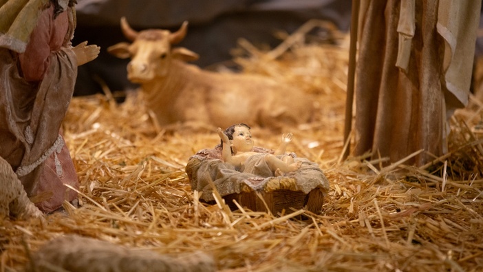 Božić bez vola i magarca