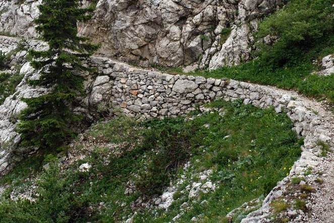 Staza života